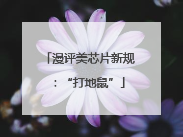 漫评美芯片新规：“打地鼠”