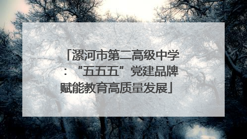 漯河市第二高级中学：“五五五”党建品牌赋能教育高质量发展