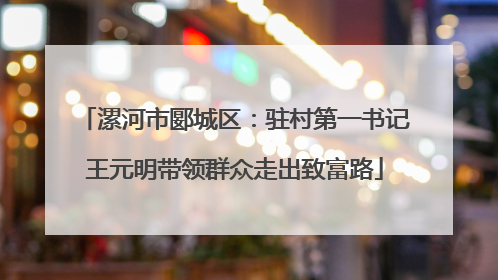 漯河市郾城区：驻村第一书记王元明带领群众走出致富路