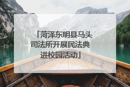 菏泽东明县马头司法所开展民法典进校园活动