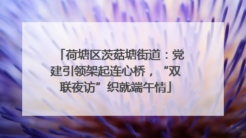 荷塘区茨菇塘街道：党建引领架起连心桥，“双联夜访”织就端午情