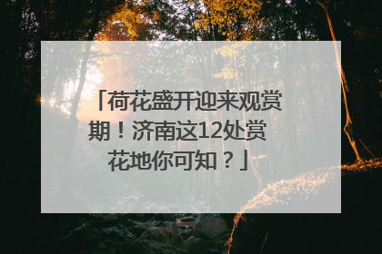 荷花盛开迎来观赏期！济南这12处赏花地你可知？