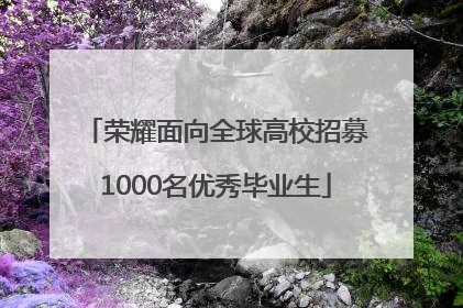 荣耀面向全球高校招募1000名优秀毕业生