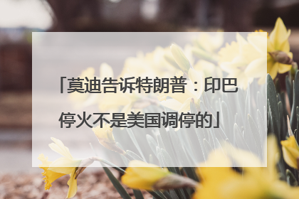 莫迪告诉特朗普：印巴停火不是美国调停的