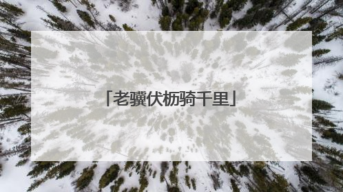 老骥伏枥骑千里