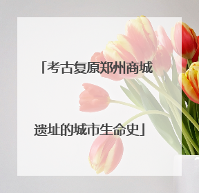考古复原郑州商城遗址的城市生命史