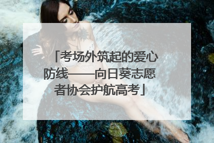 考场外筑起的爱心防线——向日葵志愿者协会护航高考
