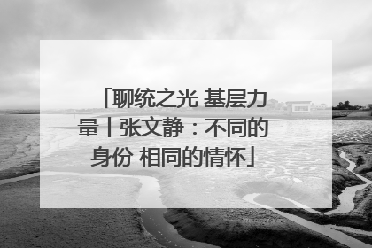 聊统之光 基层力量丨张文静：不同的身份 相同的情怀