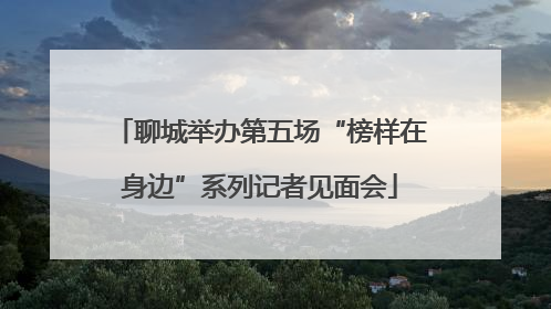 聊城举办第五场“榜样在身边”系列记者见面会