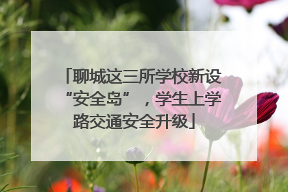 聊城这三所学校新设“安全岛”，学生上学路交通安全升级