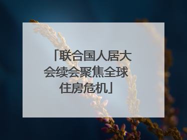 联合国人居大会续会聚焦全球住房危机