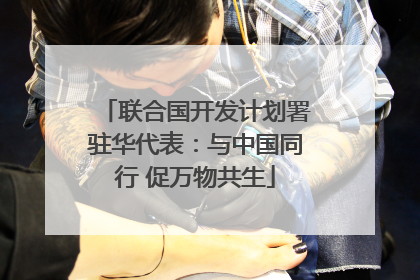 联合国开发计划署驻华代表：与中国同行 促万物共生