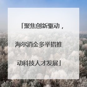 聚焦创新驱动，海尔消金多举措推动科技人才发展