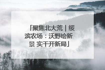 聚焦北大荒｜绥滨农场：沃野绘新景 实干开新局