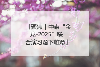 聚焦｜中柬“金龙-2025”联合演习落下帷幕