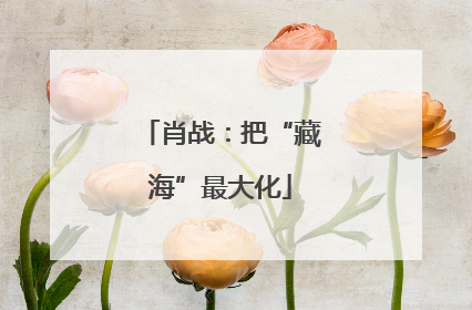 肖战：把“藏海”最大化
