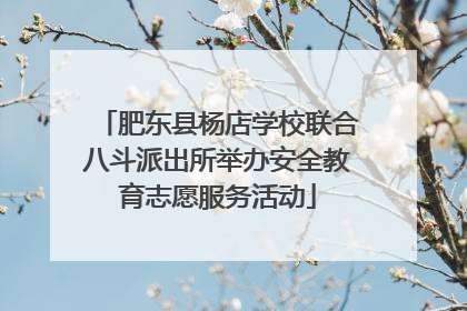 肥东县杨店学校联合八斗派出所举办安全教育志愿服务活动