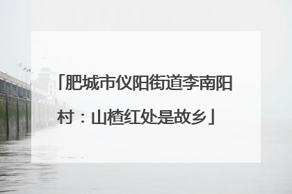 肥城市仪阳街道李南阳村：山楂红处是故乡