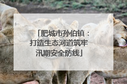 肥城市孙伯镇：打造生态河道筑牢汛期安全防线