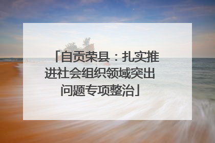 自贡荣县：扎实推进社会组织领域突出问题专项整治