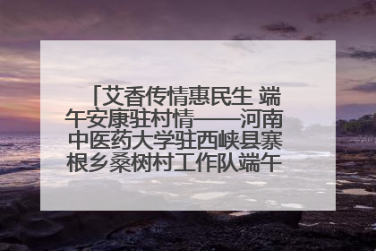 艾香传情惠民生 端午安康驻村情——河南中医药大学驻西峡县寨根乡桑树村工作队端午中医惠民记
