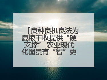 良种良机良法为夏粮丰收提供“硬支撑” 农业现代化图景有“智”更有“质”