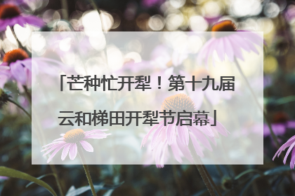 芒种忙开犁！第十九届云和梯田开犁节启幕