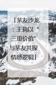 茅友沙龙：王莉以“三重价值”与茅友共探情感逻辑