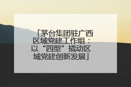 茅台集团驻广西区域党建工作组：以“四型”撬动区域党建创新发展