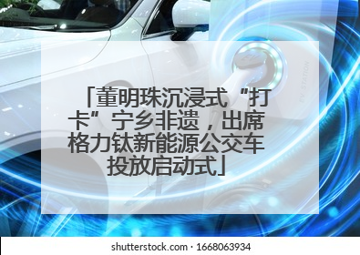 董明珠沉浸式“打卡”宁乡非遗，出席格力钛新能源公交车投放启动式