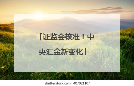 证监会核准！中央汇金新变化