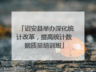 诏安县举办深化统计改革，提高统计数据质量培训班