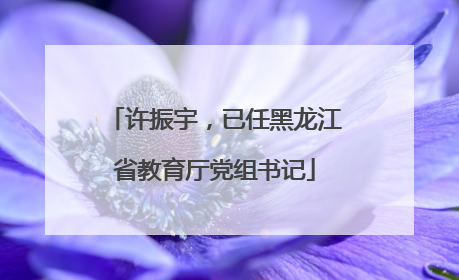许振宇，已任黑龙江省教育厅党组书记