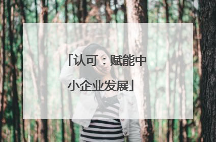 认可：赋能中小企业发展