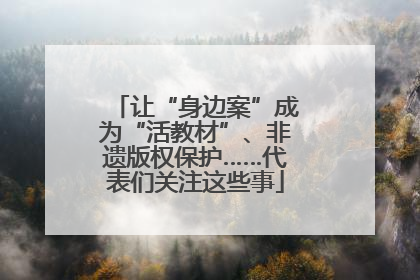 让“身边案”成为“活教材”、非遗版权保护……代表们关注这些事
