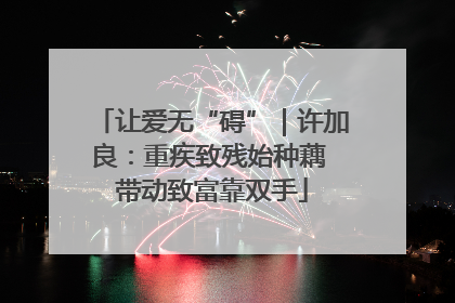 让爱无“碍”｜许加良：重疾致残始种藕 带动致富靠双手