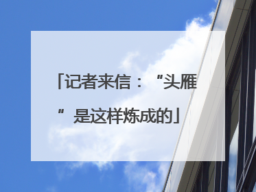 记者来信：“头雁”是这样炼成的