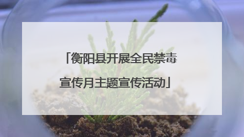 衡阳县开展全民禁毒宣传月主题宣传活动