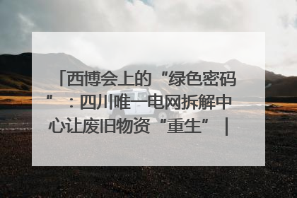 西博会上的“绿色密码”：四川唯一电网拆解中心让废旧物资“重生”｜西博寻“新”记