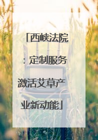 西峡法院：定制服务激活艾草产业新动能