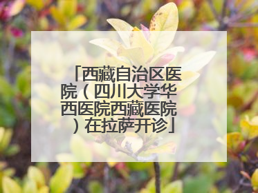 西藏自治区医院（四川大学华西医院西藏医院）在拉萨开诊