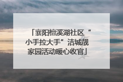 襄阳檀溪湖社区“小手拉大手”洁城靓家园活动暖心收官
