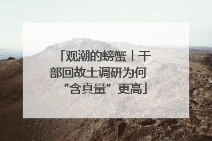 观潮的螃蟹丨干部回故土调研为何“含真量”更高