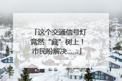 这个交通信号灯竟然“藏”树上！市民盼解决……