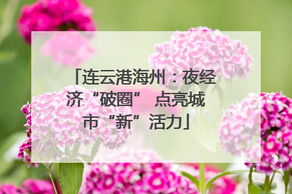 连云港海州：夜经济“破圈” 点亮城市“新”活力