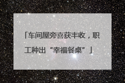 车间屋旁喜获丰收，职工种出“幸福餐桌”