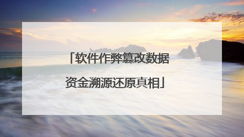 软件作弊篡改数据 资金溯源还原真相