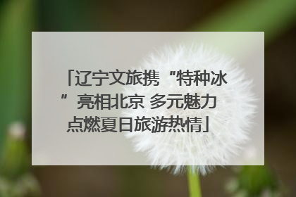 辽宁文旅携“特种冰”亮相北京 多元魅力点燃夏日旅游热情