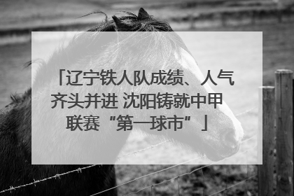 辽宁铁人队成绩、人气齐头并进 沈阳铸就中甲联赛“第一球市”