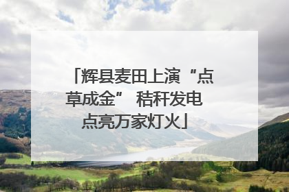 辉县麦田上演“点草成金” 秸秆发电点亮万家灯火